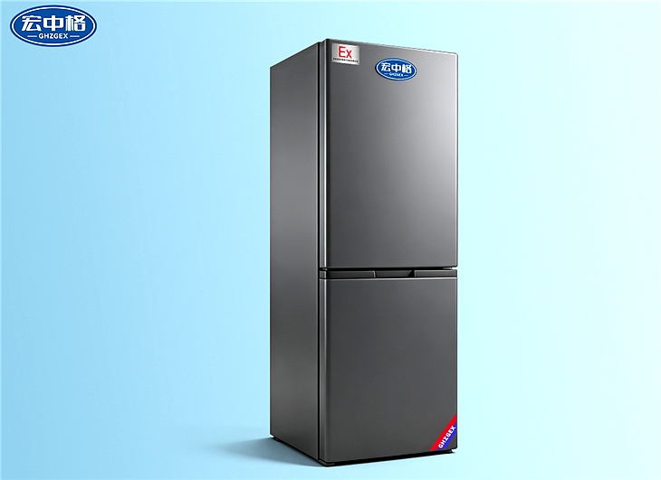 雙門雙溫防爆冰箱BL-SMSW250LFG